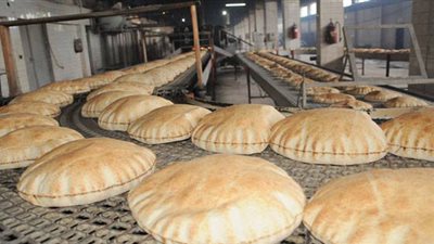 ضبط 52 مخبزا مخالفا في الشرقية