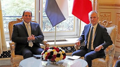 السيسي يبحث التعاون الأمني ومكافحة الإرهاب مع وزير داخلية فرنسا