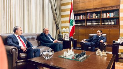 وزير الخارجية يؤكد للحريري دعم مصر لاستقرار لبنان