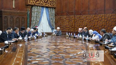 شيخ الأزهر يلتقي عددا من المعنيِّين بالقضية الفلسطينية