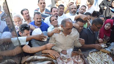 طرح كميات من الأسماك بأسعار مخفضة لمواطني الغردقة