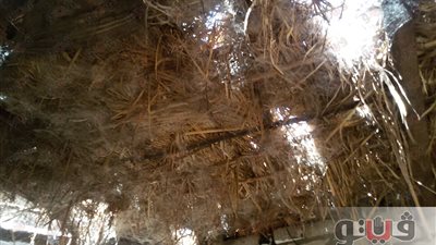 بالفيديو.. أهالي جزيرة الدوم: سقطنا من حسابات مسئولي قنا وسوهاج