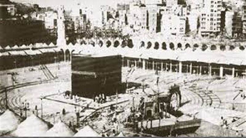 فيتو