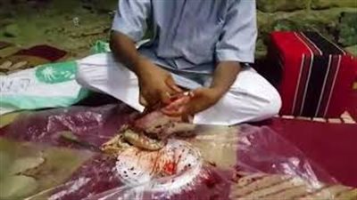 لحظة ذبح وسلخ شاب سعودي حية سامة لطهيها (فيديو)