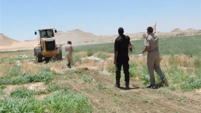 إزالة التعديات على 69 فدانا أملاك دولة بالشرقية