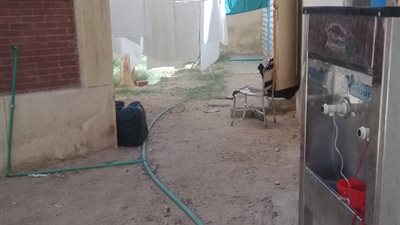 مستشفى بسوهاج يلقي بمحاليل الفشل الكلوي في الشارع (صور )