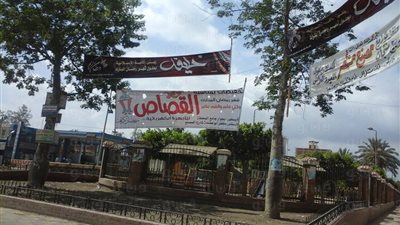 بالصور.. إزالة الإعلانات المخالفة برأس البر وفارسكور