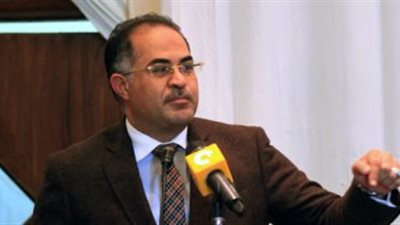 وكيل البرلمان: المشاركة في الانتخابات يؤكد التفاف الشعب حول القيادة