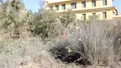 بالصور.. مدرسة العائلة المقدسة بالمنصورة «إجازة» اليوم بسبب حريق