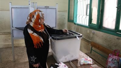 «راقب يا مصري»: انتخابات الرئاسة تحولت إلى تظاهرة دعم للدولة