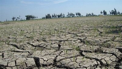 فلاحو البحيرة يستقبلون عيدهم وأراضيهم مهددة بالبوار