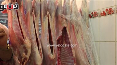 «خليل»: 90 جنيها سعر كيلو اللحوم البلدية في معظم المحافظات (صوت )