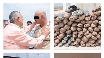 أمن بورسعيد يضبط شخصا بحوزته نصف طن بانجو