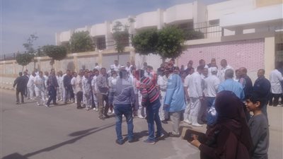 عمال يشعلون الحماس في لجنة المغتربين بـ6 أكتوبر (صور)