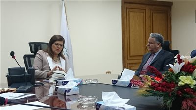 وزيرة التخطيط تناقش إنشاء مجلسين للصناعات التحويلية والصادرات