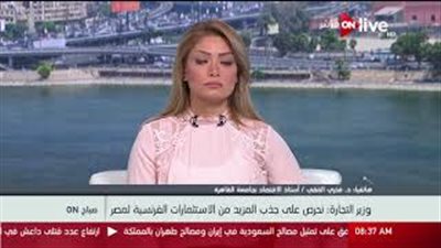 بالفيديو.. خبير اقتصادي: 3.5 مليارات دولار حجم الاستثمارات الفرنسية بمصر
