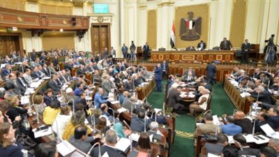 نائب: لا يجوز رفع الدعم بسبب كثرة الإنجاب