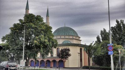 بالصور.. العودة للديار هربا من ساعات الصوم الطويلة في هولندا