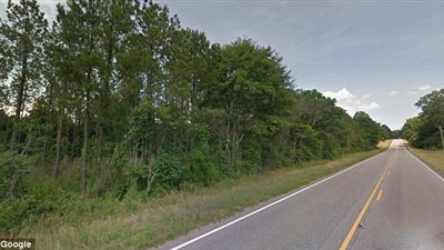 بالصور.. سر اختفاء امرأة عاشت شهرا بالغابة