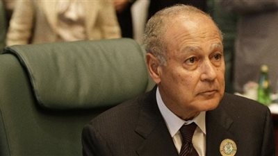 أحمد أبو الغيط: مناصرة الدولة المصرية في الانتخابات «ضرورة»