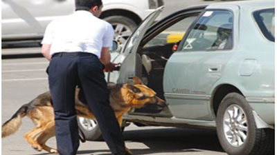 مصدر: كلب بوليسي وراء القبض على قاضي الشرقية متلبسا بحيازة مخدرات