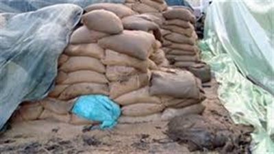 ضبط 5 أطنان قمح غير صالحة للاستهلاك قبل توريدها لشونة بالمنيا