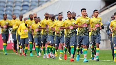 تشكيل منتخب جنوب أفريقيا خلال لقاء الفراعنة الودي