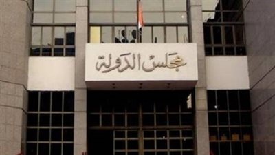 أمين مجلس الدولة: الكشف الطبي لدفعة ٢٠١٤ السبت والأحد