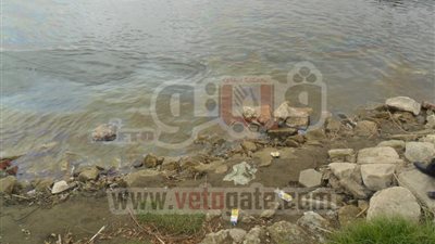 بالصور .. ظهور بقع زيتية بمجرى النيل ببنى سويف