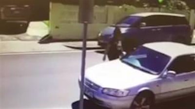 بالفيديو..سيدة تحاول إحباط سرقة سيارة بداخلها طفلة