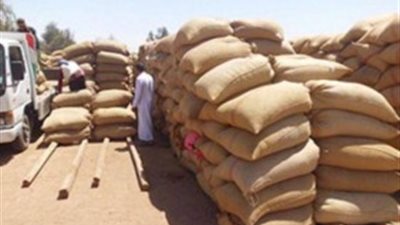 دياب: حظر استيراد القمح للقطاع الخاص أثناء موسم التوريد يشعل الأسعار