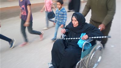 كبار السن يتصدرون المشهد في لجان منيا القمح ( صور )