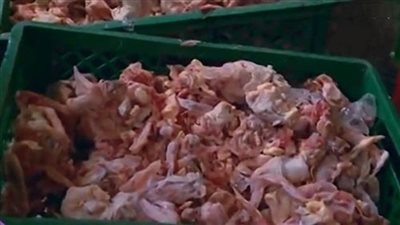 ضبط صاحب مجزر لحيازته 500 كيلو «هياكل دواجن» فاسدة في بولاق