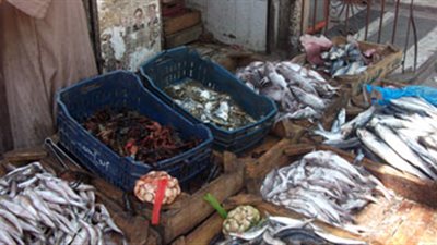 «الكابوريا» تسجل 38 جنيها بسوق العبور