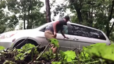 لقطات مخيفة لدب يحطم سيارة للخروج بعد محاصرته بحثا عن الطعام