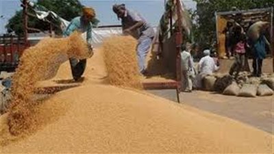 تقصي حقائق فساد توريد القمح تستدعي «رئيس الوزراء»