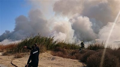 السيطرة على حريق بمحصول القمح بقرية «الروبيات» في الفيوم