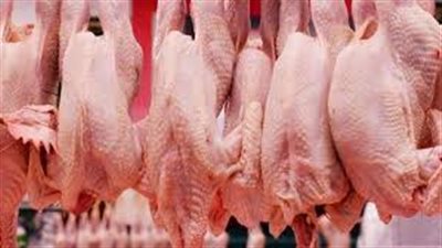 ضبط أمين مجمع استهلاكي لبيعه الدواجن المدعمة في السوق السوداء بالجيزة