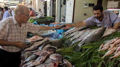 ارتفاع أسعار الأسماك بالدقهلية تزامنا مع عيد الفطر.. تقرير