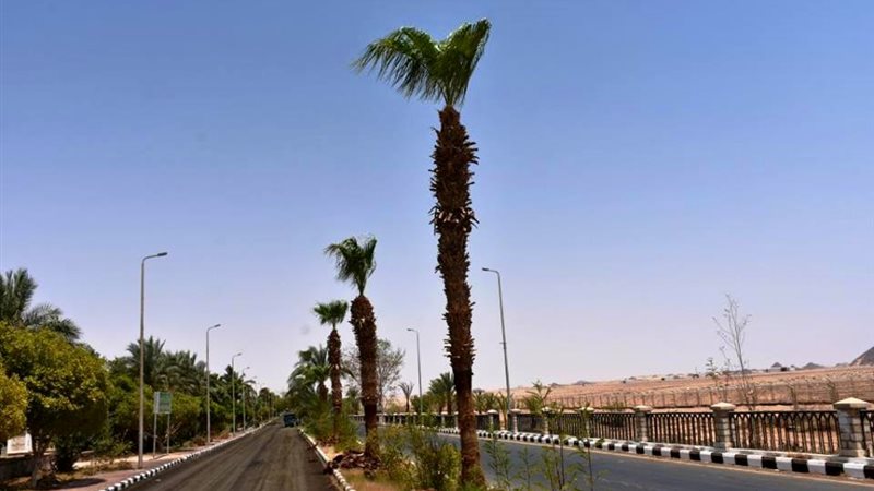 مدينة أبوسمبل السياحية