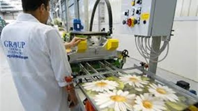 عمال سيراميكا كليوباترا يحررون محاضر جديدة ضد أبو العينين