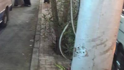 سرقة أغطية أعمدة الإنارة يهدد حياة الأهالي بالأقصر