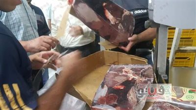 بالصور.. ضبط طن لحوم غير صالحة للاستخدام الآدمي في القليوبية