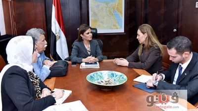 وزيرة الاستثمار تبحث التعاون مع بنك التنمية الأفريقي