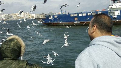 20 صورة ترصد عشق البورسعيدية لطائر النورس