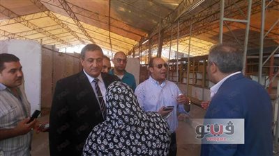 نائب محافظ القاهرة يتفقد معرض بيع المنتجات بأسعار مخفضة بـ«الترجمان»