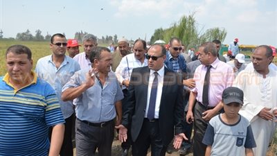 بالصور.. افتتاح موسم حصاد الأرز بالتكثيف في البحيرة