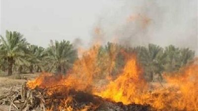 «البيئة» تنفذ 28 حملة لمواجهة نوبات تلوث الهواء بالمنصورة