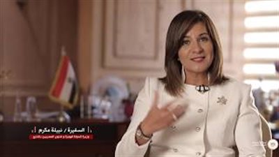 الهجرة تبتكر آلية جديدة لتعزيز التواصل المباشر مع المصريين بالخارج