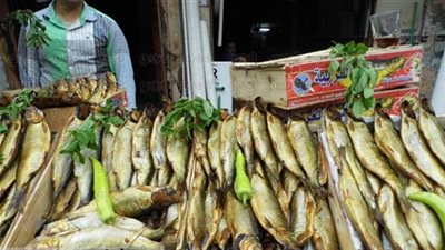 الممنوعون من تناول الفسيخ والرنجة في شم النسيم